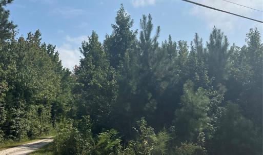 Photo #4 of Bath, Lancaster, SC