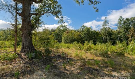 Photo #31 of 1012 Oakshire, Waxhaw, NC