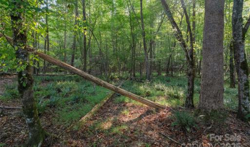 Photo #43 of 1012 Oakshire, Waxhaw, NC