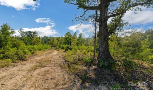 Photo #46 of 1012 Oakshire, Waxhaw, NC