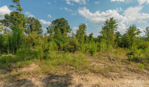 Photo #31 of 1012 Oakshire, Waxhaw, NC