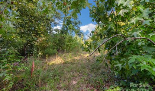 Photo #37 of 1012 Oakshire, Waxhaw, NC