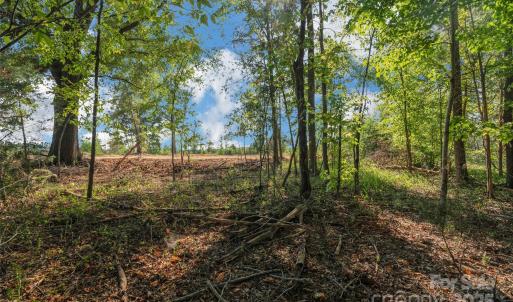 Photo #28 of 1012 Oakshire, Waxhaw, NC