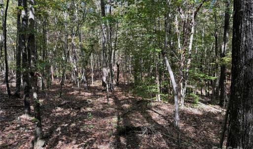 Photo #4 of State, China Grove, NC