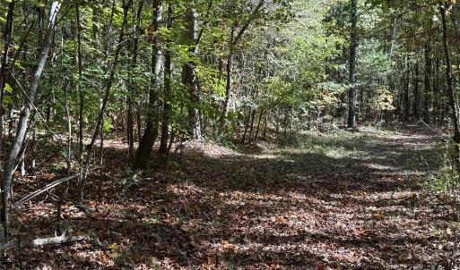 Photo #10 of State, China Grove, NC