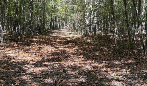 Photo #9 of State, China Grove, NC