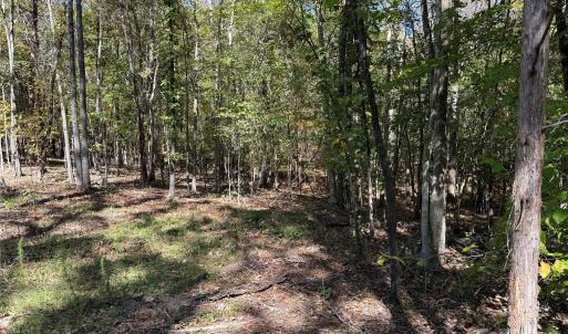 Photo #3 of State, China Grove, NC