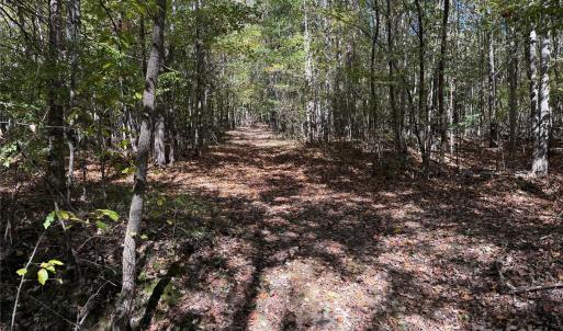 Photo #5 of State, China Grove, NC