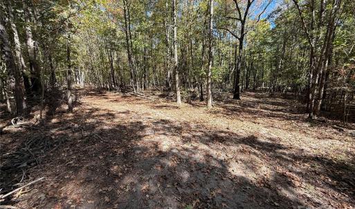 Photo #11 of State, China Grove, NC