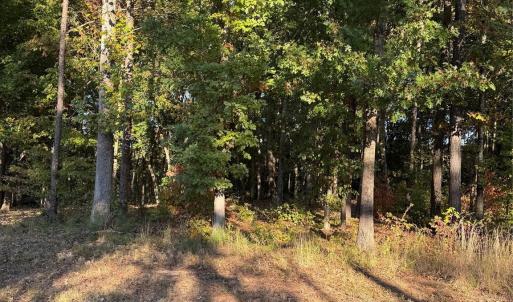 Photo #5 of 2140 Two Sisters, Van Wyck, SC