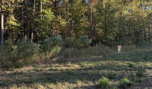 Photo #4 of 2140 Two Sisters, Van Wyck, SC