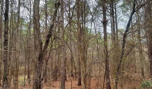 Photo #2 of 1176 Great Falls, Chester, SC