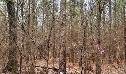 Photo #1 of 1176 Great Falls, Chester, SC