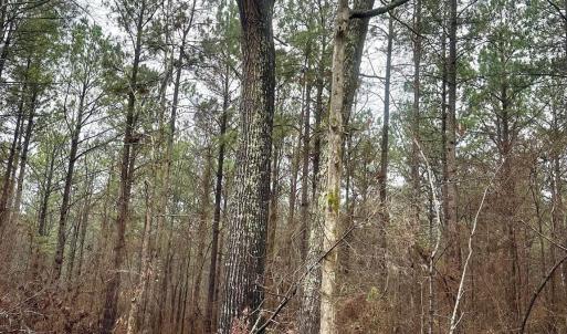 Photo #3 of 1176 Great Falls, Chester, SC