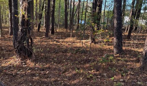 Photo #24 of 141 & 145 State, Clayton, NC