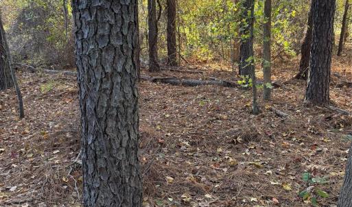 Photo #26 of 141 & 145 State, Clayton, NC