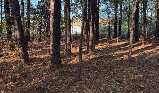 Photo #27 of 141 & 145 State, Clayton, NC