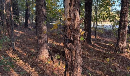 Photo #23 of 141 & 145 State, Clayton, NC