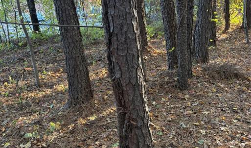 Photo #22 of 141 & 145 State, Clayton, NC