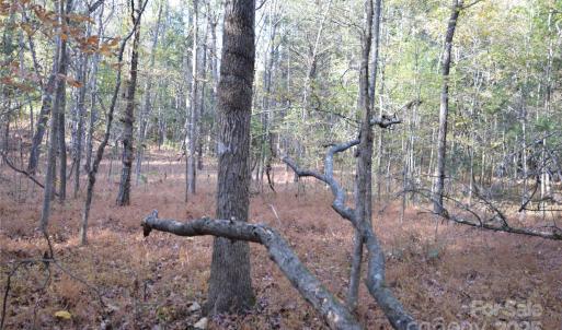 Photo #11 of 3537 Shillinglaw, Sharon, SC