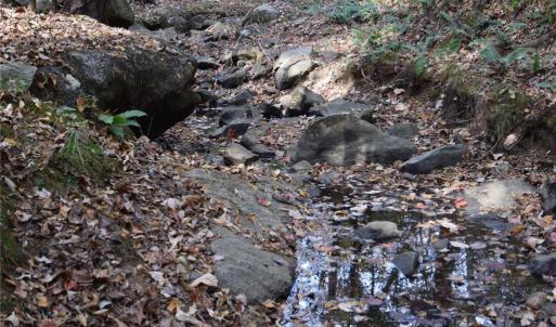 Photo #22 of 3537 Shillinglaw, Sharon, SC