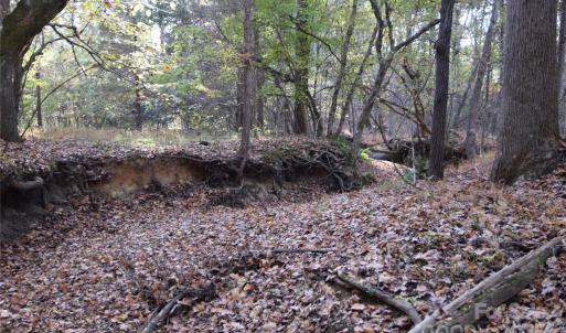 Photo #8 of 3537 Shillinglaw, Sharon, SC