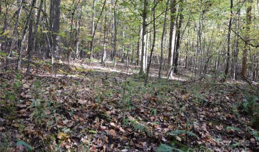 Photo #7 of 3537 Shillinglaw, Sharon, SC