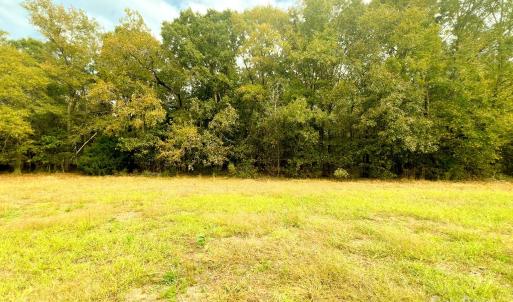 Photo #3 of 24990 Birdhouse, Locust, NC