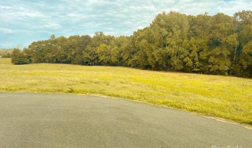 Photo #4 of 24990 Birdhouse, Locust, NC