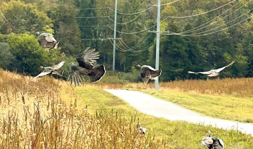 Photo #1 of 24990 Birdhouse, Locust, NC