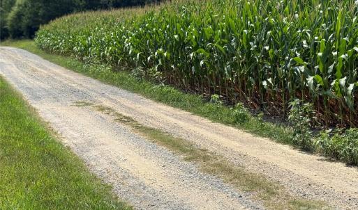 Photo #3 of 2 Acorn, Monroe, NC