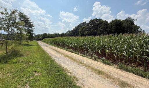 Photo #4 of 1 Acorn, Monroe, NC