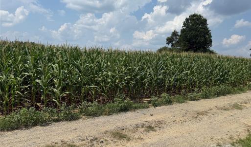 Photo #1 of 1 Acorn, Monroe, NC