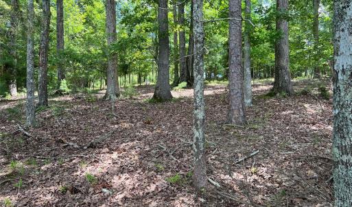 Photo #7 of 14528 Maritime, Lancaster, SC