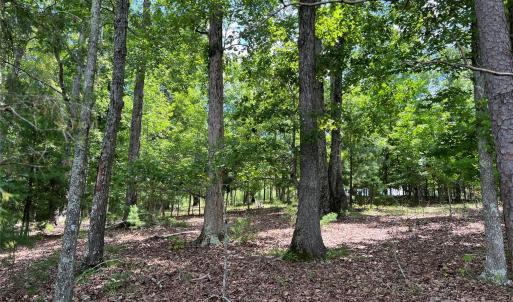 Photo #8 of 14528 Maritime, Lancaster, SC