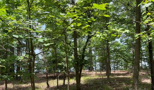 Photo #14 of 14528 Maritime, Lancaster, SC