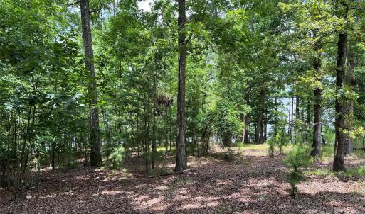 Photo #16 of 14528 Maritime, Lancaster, SC