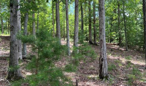 Photo #11 of 14528 Maritime, Lancaster, SC