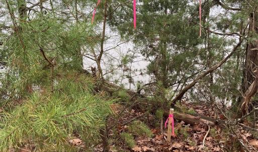 Photo #22 of 14528 Maritime, Lancaster, SC