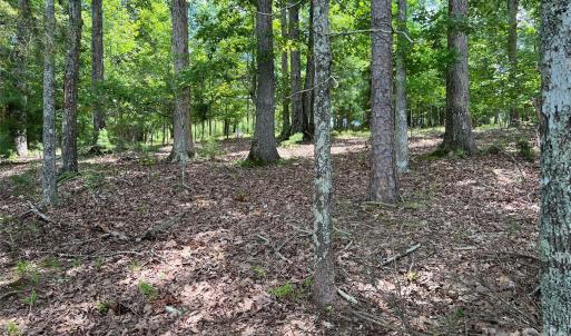 Photo #7 of 14528 Maritime, Lancaster, SC