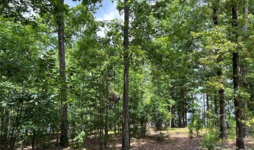 Photo #17 of 14528 Maritime, Lancaster, SC