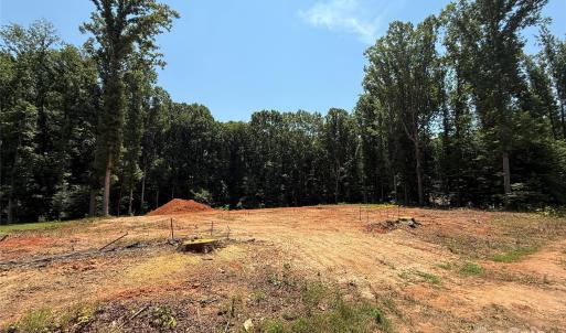 Photo #15 of 219 Barra, Waxhaw, NC