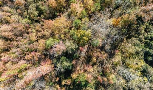 Photo #2 of 13562 Smith Ford, Hickory Grove, SC