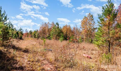 Photo #7 of 13562 Smith Ford, Hickory Grove, SC