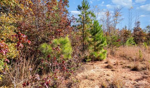 Photo #1 of 13562 Smith Ford, Hickory Grove, SC