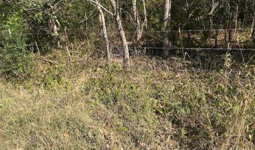 Photo #33 of White Store, Wingate, NC