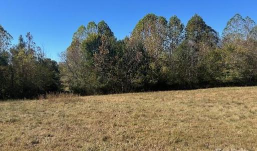 Photo #13 of White Store, Wingate, NC