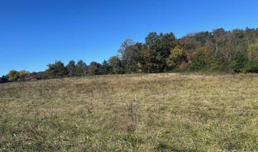 Photo #8 of White Store, Wingate, NC