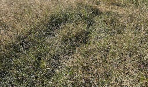 Photo #12 of White Store, Wingate, NC