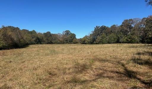 Photo #17 of White Store, Wingate, NC